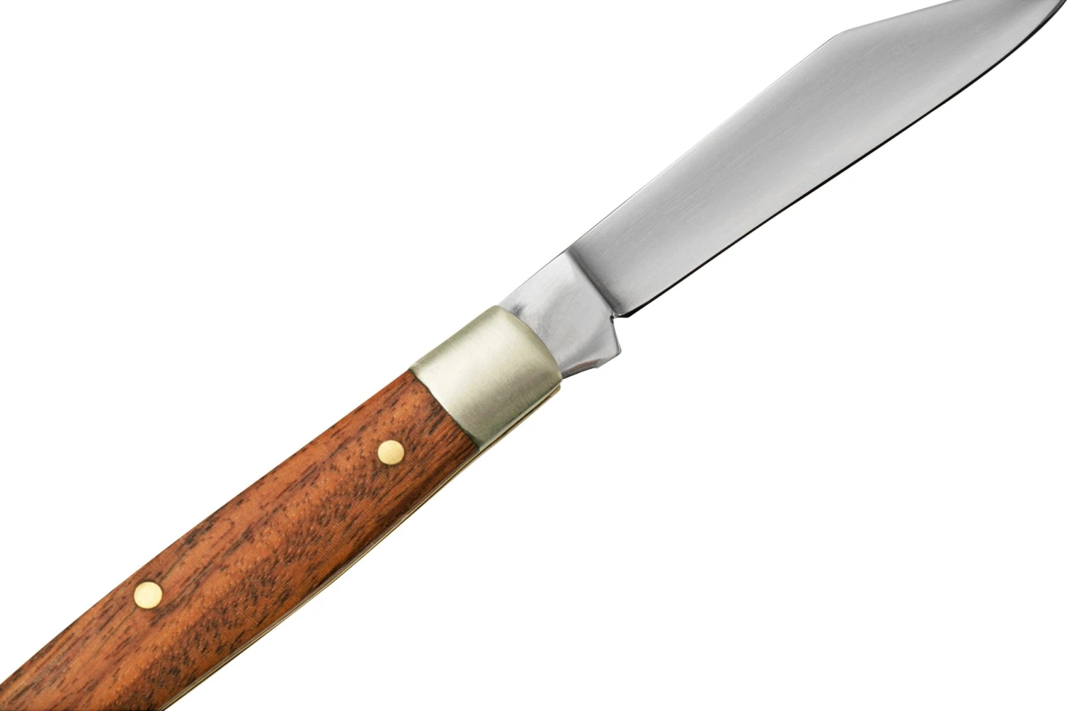 Fox Knives Filiscjna, CL-627/1 Cuchillo En Miniatura 7 Fox Knives Filiscjna, CL-627/1 Cuchillo En Miniatura - Imagen 5