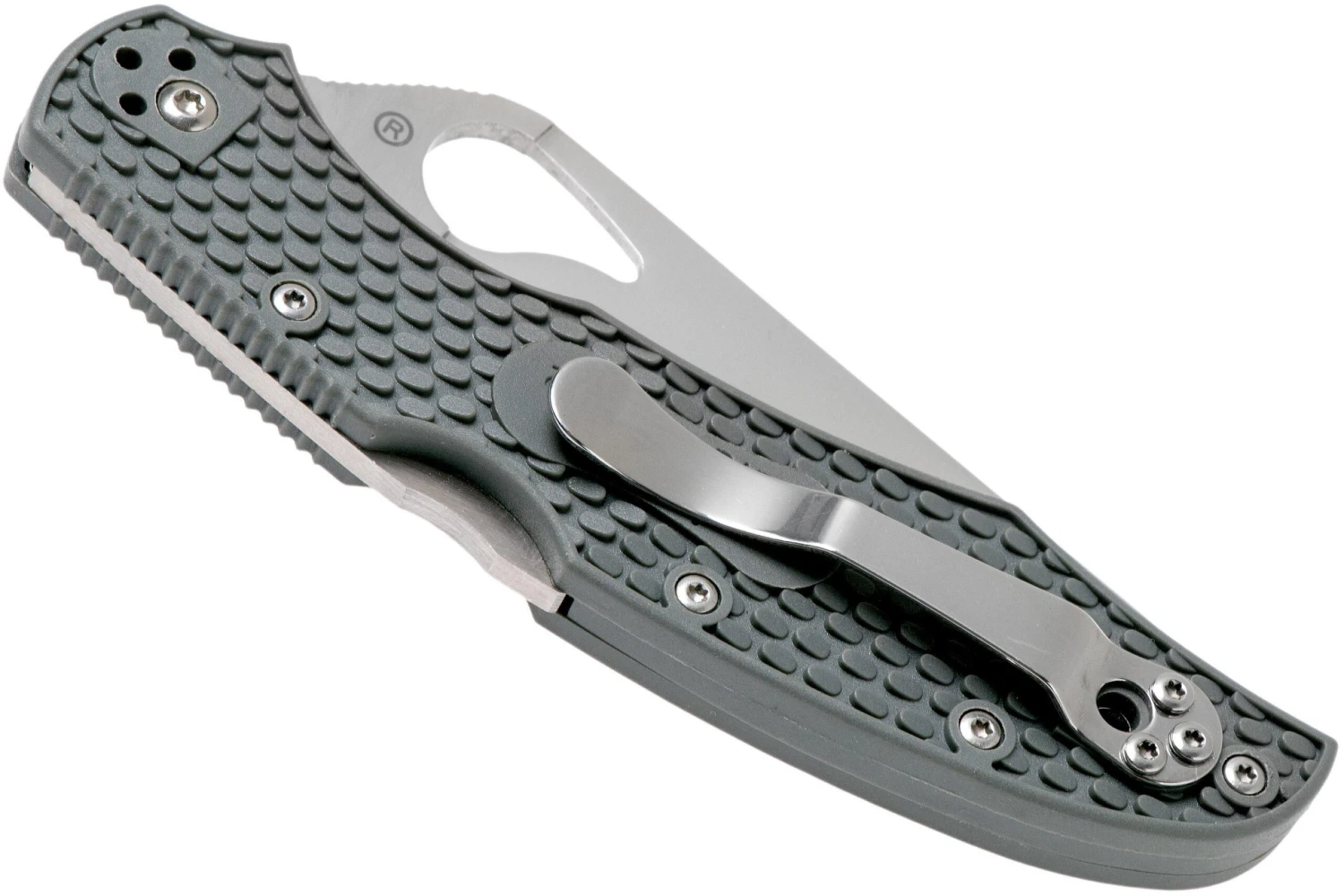 Spyderco Byrd Cara Cara 2 Gris FRN BY03PGY2 (Plain-Edge) Navaja 6 Spyderco Byrd Cara Cara 2 Gris FRN BY03PGY2 (Plain-Edge) Navaja - Imagen 4